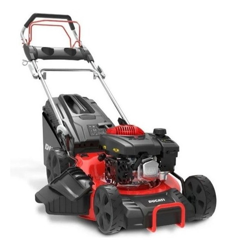 Imagen 1 de 4 de Cortacesped A Nafta Ducati Dlm5300 Con Tracción