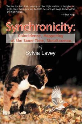 Libro Synchronicity - Sylvia Lavey