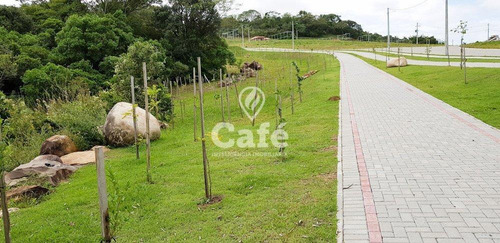 Imagem 29 de 30 de Condomínio Real Park, Com Habite-se Apto Para Construção, Infraestrutu - 2737