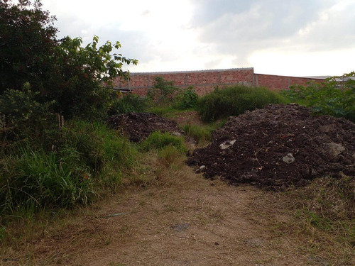 Imagem 6 de 10 de Terreno Para Venda Em Piraquara, Parque Das Araucárias - 3375_1-2413913