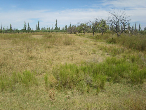 Imagen 6 de 8 de Surmendoza La Montilla1 Dueño Vende Lindo Y Amplio Terreno Rural 2100m2