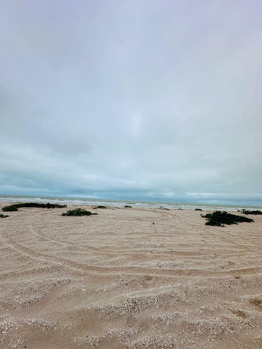 Venta De Terreno Frente Al Mar En Chuburná Puerto