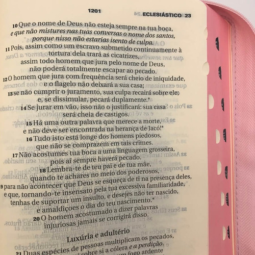 Bíblia Sagrada Catolica Letra Grande Maior Rosa Ave Maria