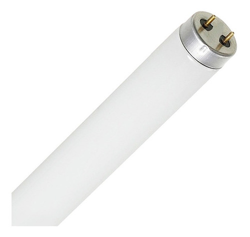 Lâmpada Fluorescente Tubular 16w Branco Neutro 60cm 10 Peças