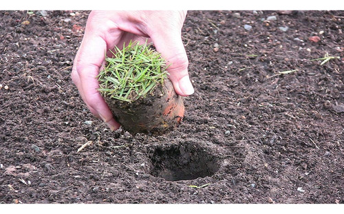 Planter Proplugger 5-en-1 - Mango Largo, Herramienta Jardín