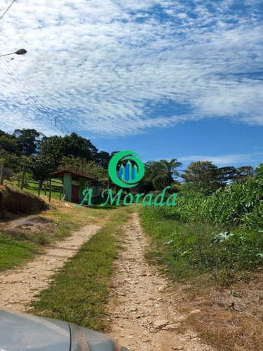 Imagem 4 de 5 de Excelente Terreno De 4.600 M² Em Pinhalzinho - Sp! - Te00100 - 69385423