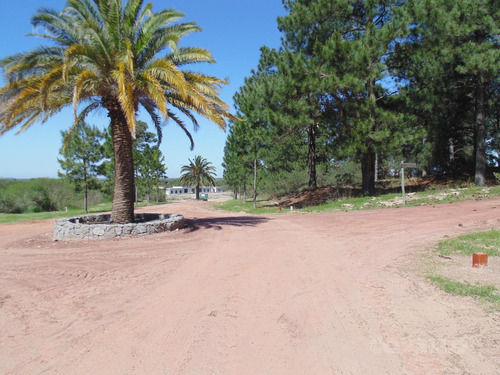 Terreno En Carmelo, Playa, Puerto Deportivo