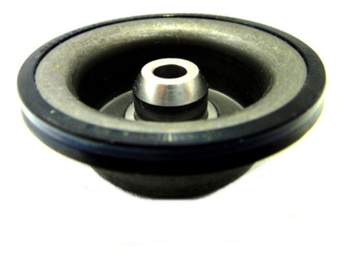 Pistao Cinta F2 Citroen C4 231913