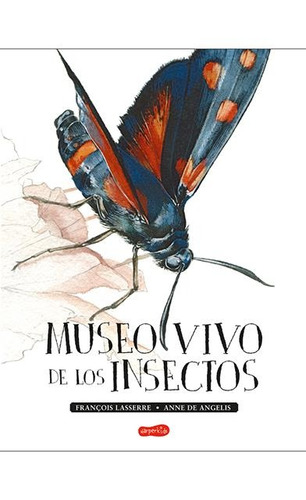 Museo Vivo De Los Insectos - Francois Lasserre