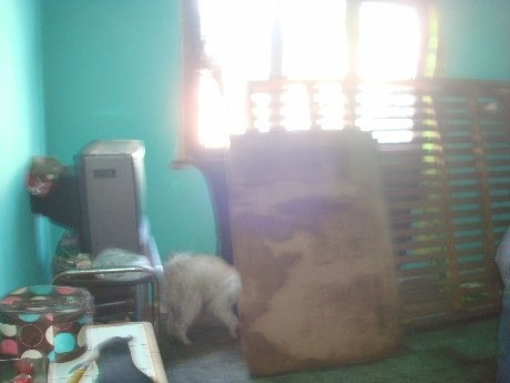 Imagen 7 de 10 de Casa Ph En Venta En Moron Norte