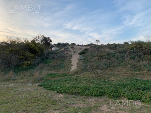 Imagen 4 de 11 de Venta-terreno-uruguay-punta Del Este-ocean Park