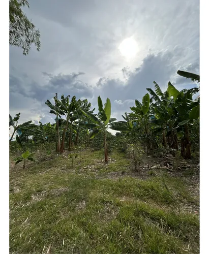 Se Vende Lote En Montenegro - Quindio
