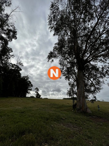 Imagen 7 de 8 de Venta De Lote En Las Garzas Punta Del Este - Las Garzas Las Garzas