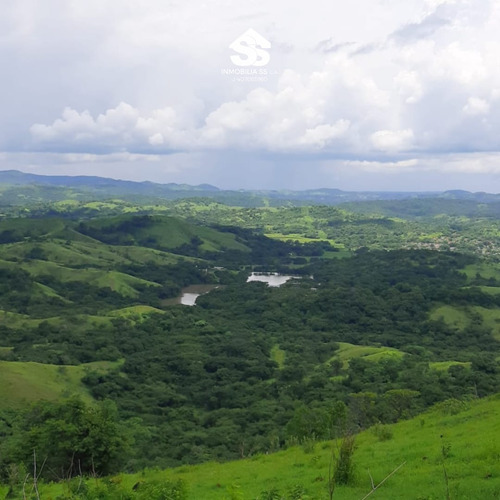 Finca En Venta - Guárico - Granja De Porcina