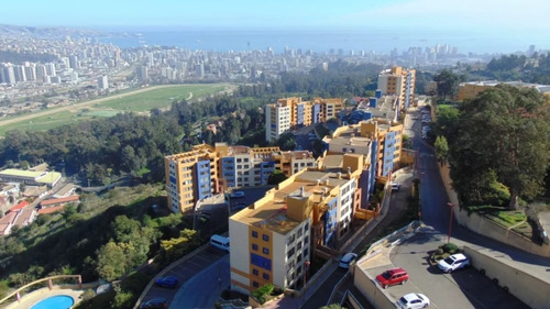 Viña Del Mar  Dpto En Los Paltos / Miraflores