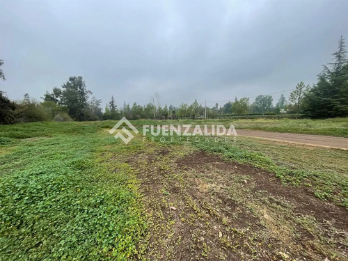 Sitio En Venta En Colina Santa Ester 
