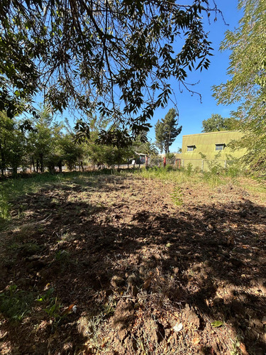 Propiedad Con Terreno De 6000 M2 Sector San Gerardo