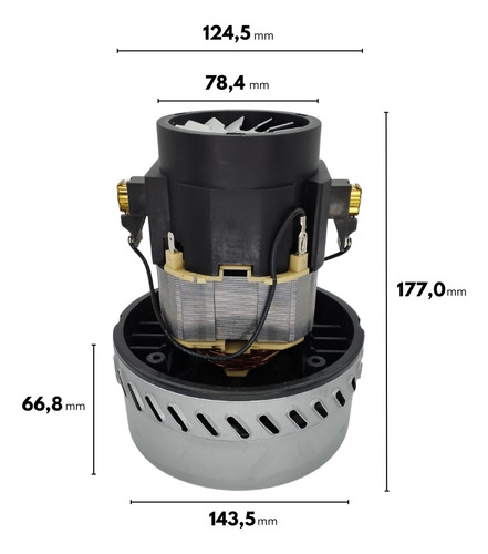 Kit 2un Motor Dupla Turbina Para Ipc Soteco Lava Clean 220v