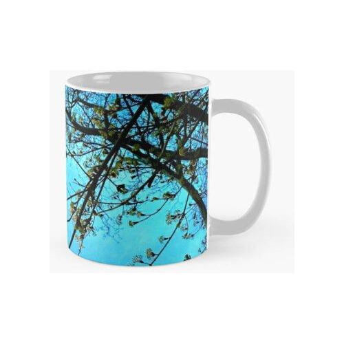 Taza Regalo Para Los Amantes De La Naturaleza - Flores De Pr