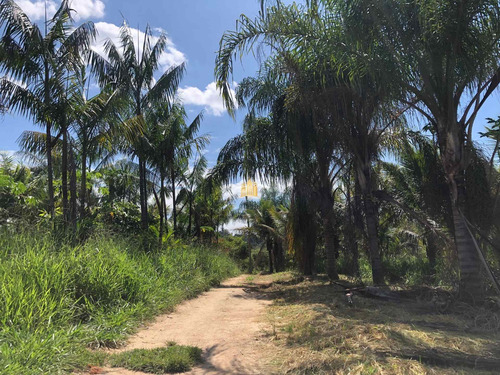 Imagem 7 de 30 de Sitio Em Esmeraldas - St00221 - 70785384