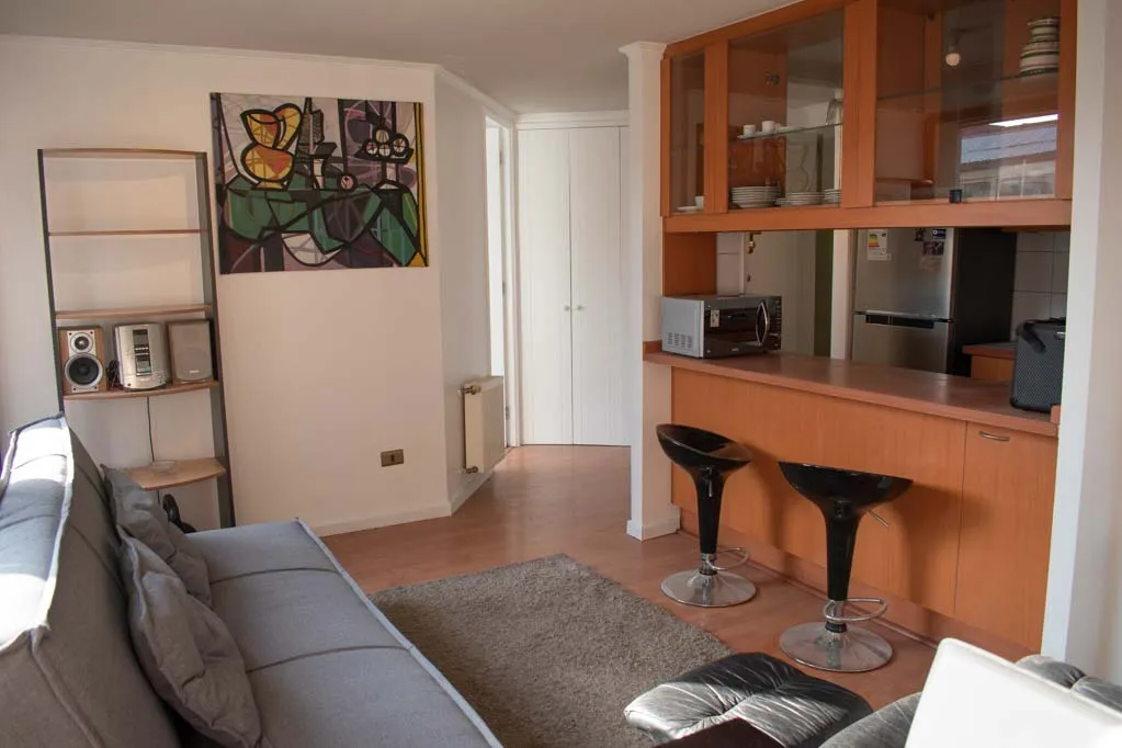 Imagen 4 de 29 de Arriendo Depto Amoblado 2d (grandes)+ 2b Santiago (2331)