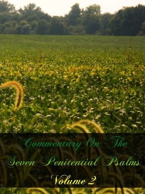 Libro Commentary On The Seven Penitential Psalms - St Joh...