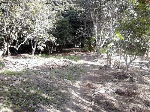 Venta Finca Terreno 5000 M² En Juana Moza Tuxpan Veracruz