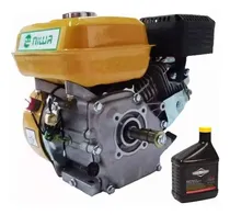 Comprar Motor Explosion Horizontal Naftero Mnw-80 Niwa 8hp Moron Ppi