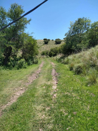 Imagen 2 de 6 de Excelentes Terrenos En Venta En Camino Del Cuadrado - Con Luz Y Agua!!!