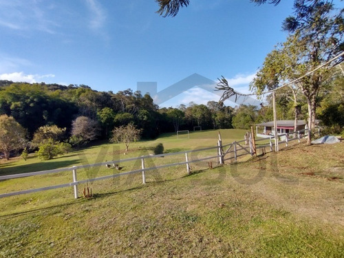 Imagem 15 de 30 de Exuberante Sítio Completo, Rico Em Água Com Nascente Própria, 02 Lagos Piscosos. Excelente Oportunidade!!! Localizado Em Juquitiba/sp - 27 - 32982809