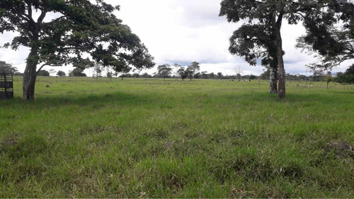 Imagen 16 de 16 de Finca Ganadera Doble Propósito Santo Domingo