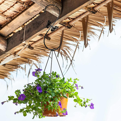 Gancho De Hierro Forjado Para Alimentación De Colibríes, 2 U