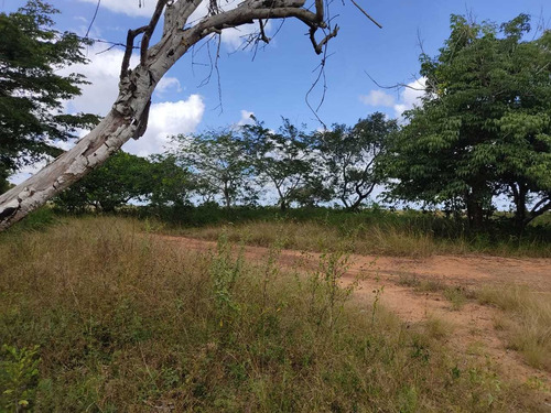 Se Vende Finca En Aribi, Via Al Sur De Monagas Ve02-554vs-dced