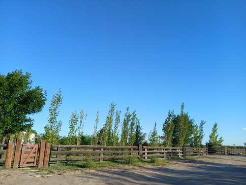 Se Vende Chacra De 17 Has. En Beazley San Luis