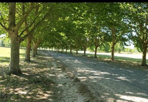 Imagen 1 de 2 de Increíble Lote En Estancia Villa María