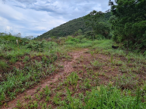 Imagem 7 de 13 de Chácara Vista Privilegiada Santo Antônio Do Pinhal - Sp - Centro - St-11501