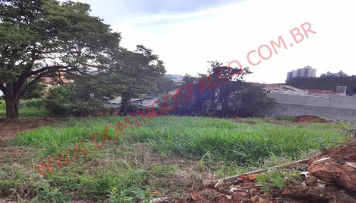 Imagem 4 de 13 de Venda - Terreno - Jardim São Domingos - Americana - Sp - D1313