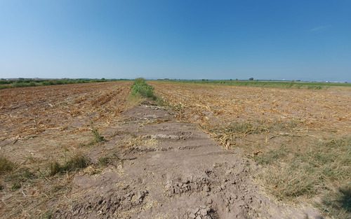 Terreno En Venta En San Jose De Viñedo, Gomez Palacio