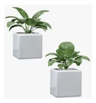 Comprar Maceteros De 10 Cm Pack De 4 Macetas Para Plantas Suculentas Blanco Cubo 10 Cm
