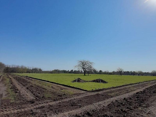 Imagen 8 de 27 de 501 Y 165- Lote-sector Abierto - Gorina Sur-la Plata-