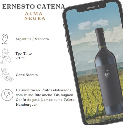 Vinho Argentino Alma Negra Ernesto Catena Caixa Com 6 Und
