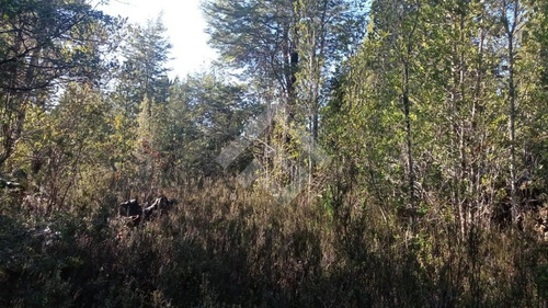 Sitio En Venta En Ensenada - Puerto Varas, Camino El Zorro