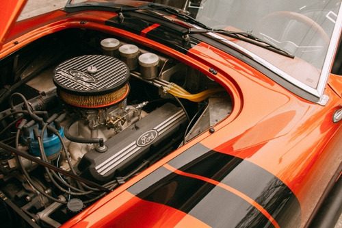 Ford Cobra V8 302 (no Gt 40/porsche/shelby/hot Rod)
