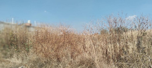 Terreno En Venta En San Juan Texcalpan Morelos