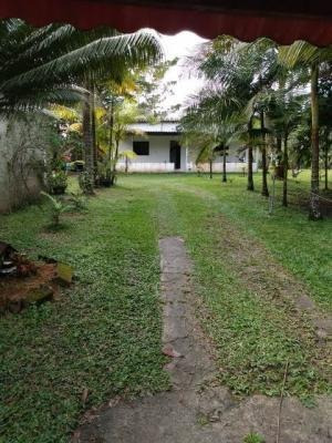 Imagem 1 de 14 de Casa Om 900 Metros Do Mar Em Itanhaém - 3729 | A.c.m