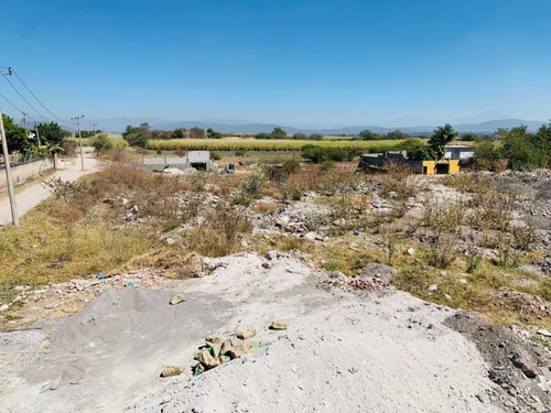 Imagen 5 de 14 de Terreno Campestre En Los Pilares, Jojutla, Morelos