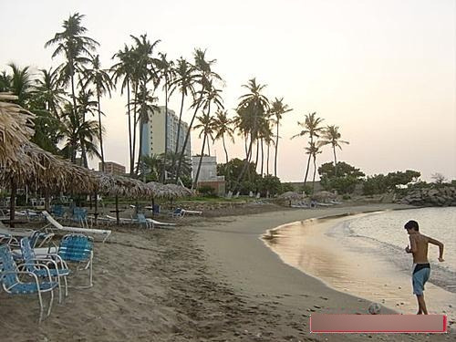 Imagen 4 de 6 de Se Vende Accion Playa Grande Yachting Club