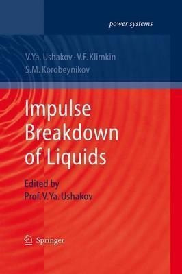 Impulse Breakdown Of Liquids - Vasily Y. Ushakov