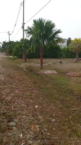 Lote Campestre .2200 Mt2