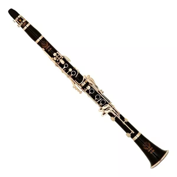 Primeira imagem para pesquisa de clarinete usado